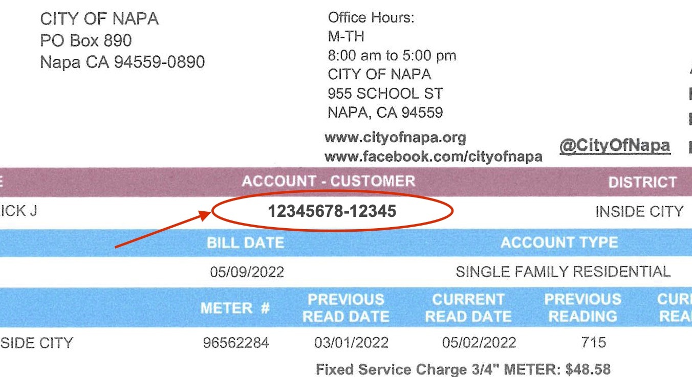 napa mysecurebill
